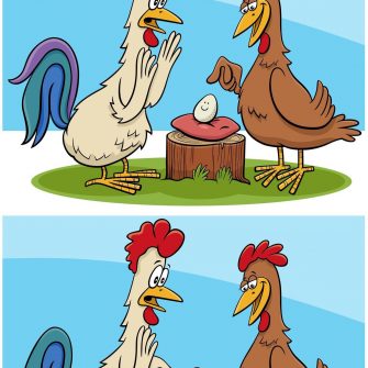 Ache as Diferenças: As Galinhas e os Ovos