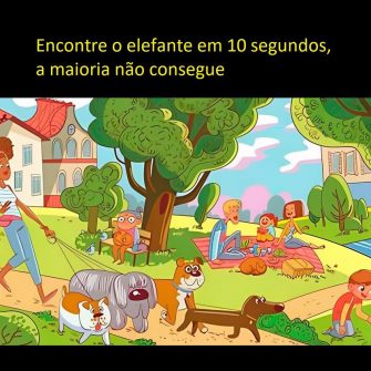 Desafio visual: encontre o elefante em 10 segundos