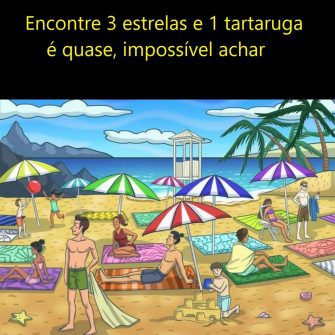 Encontre 3 estrelas e 1 tartaruga, veja a resposta