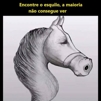 Encontre o Esquilo, a maioria não consegue ver