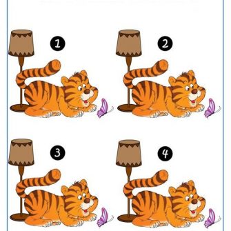 Desafio: qual gato é o diferente?