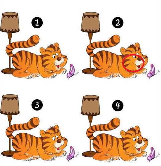 Desafio: qual gato é o diferente? Resposta qual gato é o diferente?