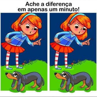Ache a Diferença: A Menina e o Salsicha