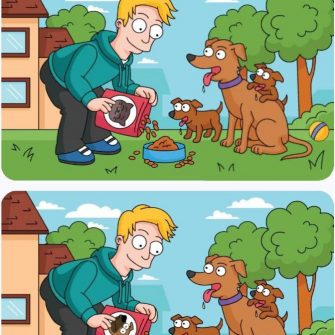 Ache as Diferenças: Alimentando os Pets