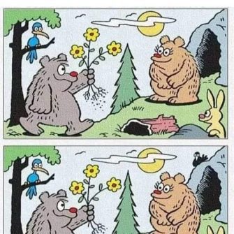 Ache as Diferenças: O Casal de Ursos