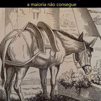 Encontre o Dono do Burro
