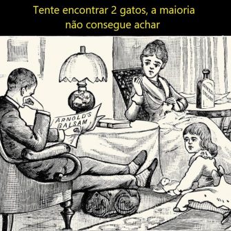 Desafio Visual: Tente Encontrar 2 Gatos na Imagem