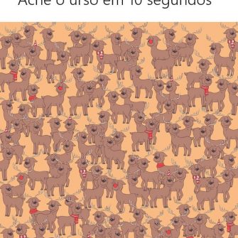 Ache o Urso em 10 segundos
