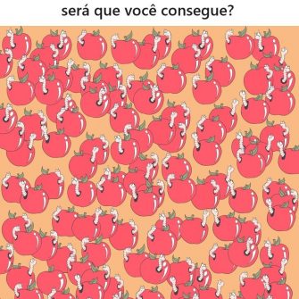 Encontre a Maçã Sem Minhoca