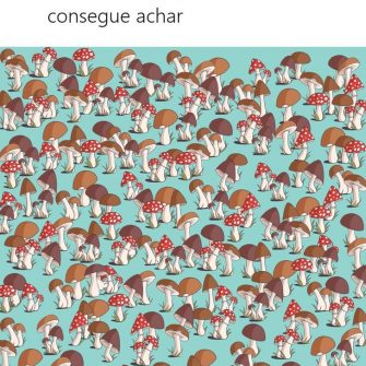 Encontre o Rato na Imagem dos Cogumelos