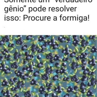 Desafio Visual Encontre a Formiga