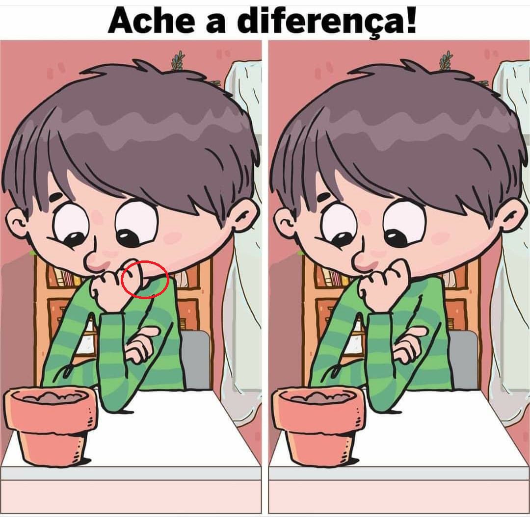 Ache a Diferença: O Vaso de Flor Resposta Ache a Diferença: O Vaso de Flor