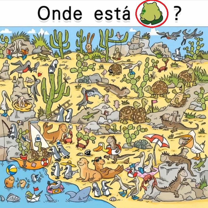 Onde Está o Sapo? onde esta o sapo resposta