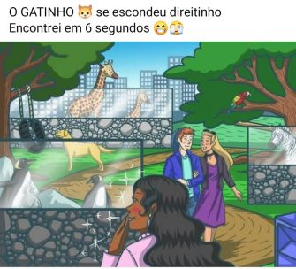 Desafio Visual Ache o Gatinho no Parque