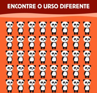 Desafio Visual Encontre o Urso Diferente!