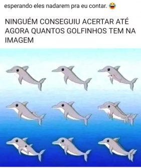 Quantos Golfinhos Tem na Imagem?