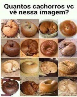 Quantos Cachorros Você Vê Nessa Imagem?