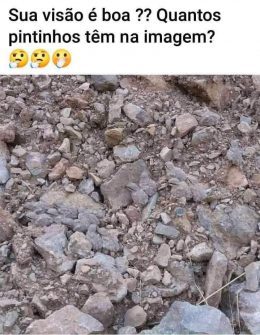Desafio Quantos Pintinhos Tem na Imagem
