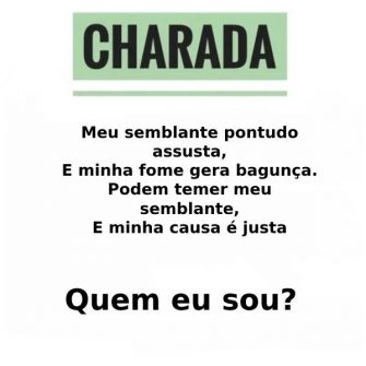 Charada: Causa Justa