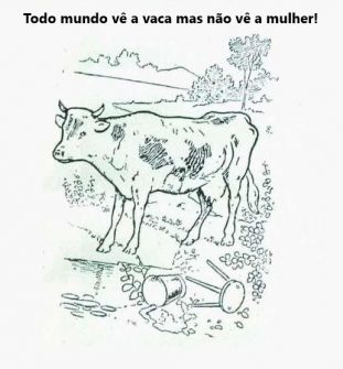 Todo mundo vê a vaca mas não vê a mulher