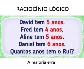 Raciocínio lógico: qual a idade de Rui?