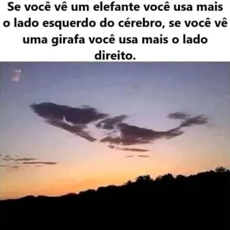 Você viu o elefante, a girafa ou a baleia? Veja o que significa