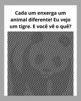 Cada um enxerga um animal diferente, veja a resposta
