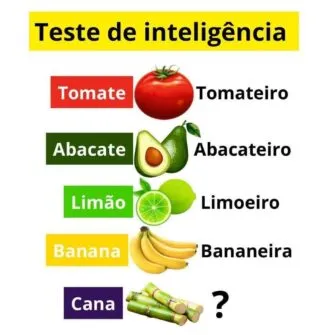 Teste: Tomate = Tomateiro, Cana = ?