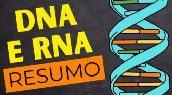 Videoaula Biologia: Introdução ao DNA e RNA