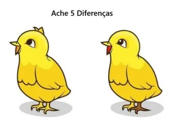 Ache 5 Diferenças: O Pintinho