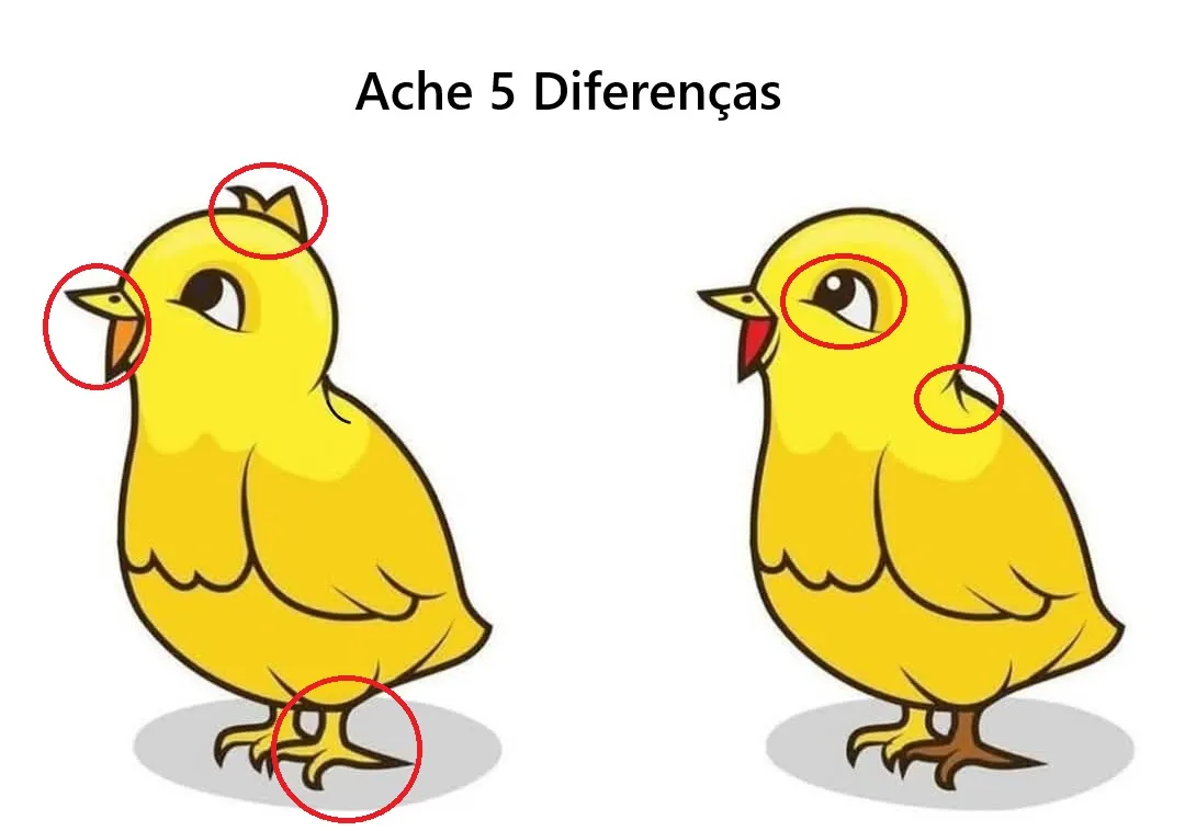 Ache 5 Diferenças: O Pintinho Veja a Resposta Ache 5 Diferenças: O Pintinho
