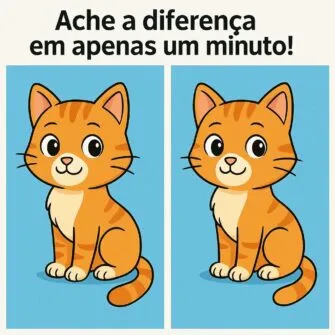 Ache a Diferença em 1 Minuto: O Gatinho Fofo