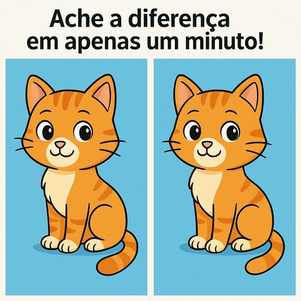 che a Diferença em 1 Minuto: O Gatinho Fofo