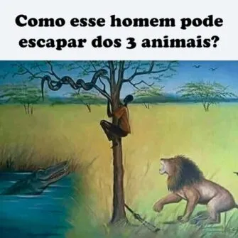 Desafio de Sobrevivência: Como Esse Homem Pode Escapar?