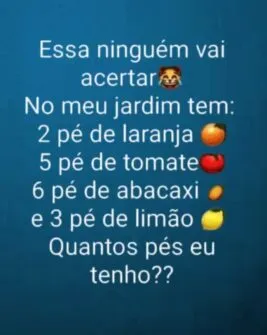 Desafio Enganoso: Quantos pés eu tenho?