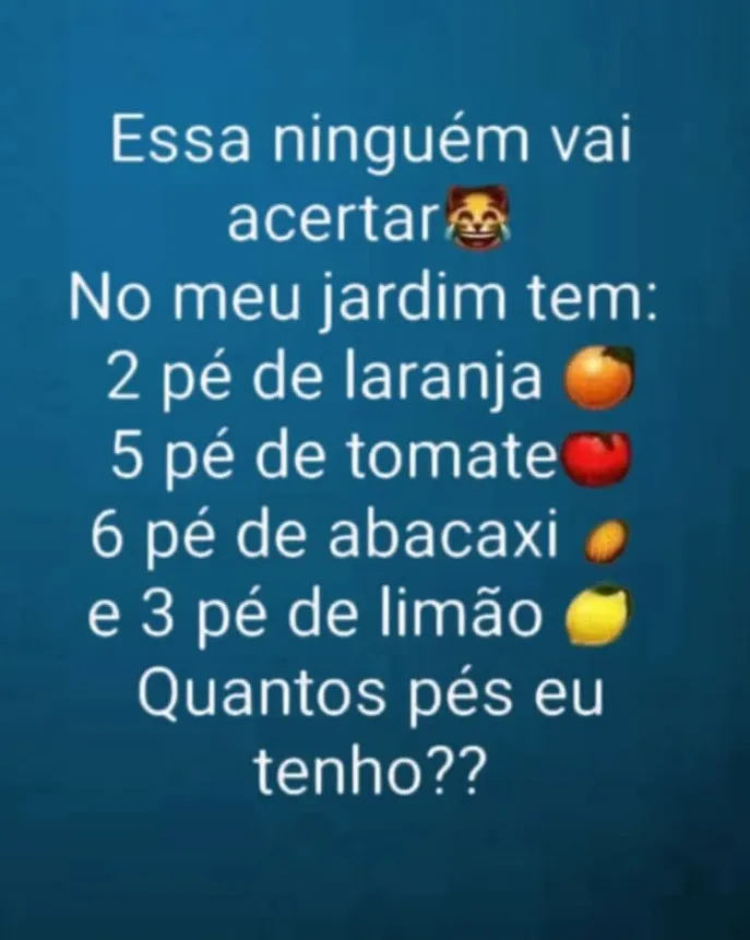 Desafio Enganoso: Quantos pés eu tenho?