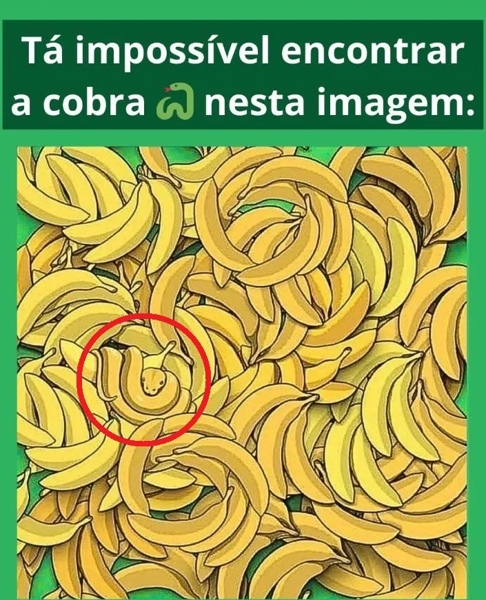 Desafio Visual: Ache a Cobra no Meio das Bananas