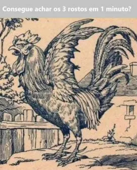 Desafio Visual: Consegue Achar os 3 Rostos Escondidos no Galo em 1 Minuto?