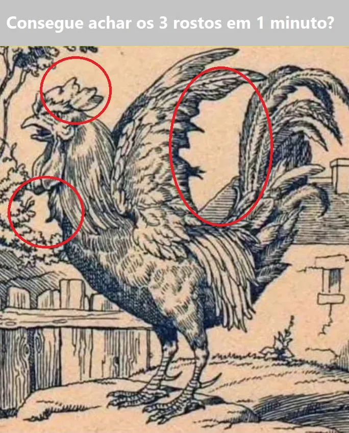 Desafio Visual: Consegue Achar os 3 Rostos Escondidos no Galo em 1 Minuto?