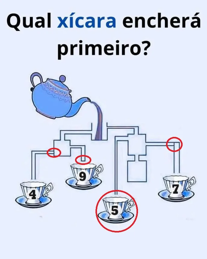 Desafio Visual: Qual xícara encherá primeiro?