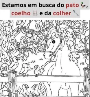 Encontre o Pato, o Coelho e a Colher