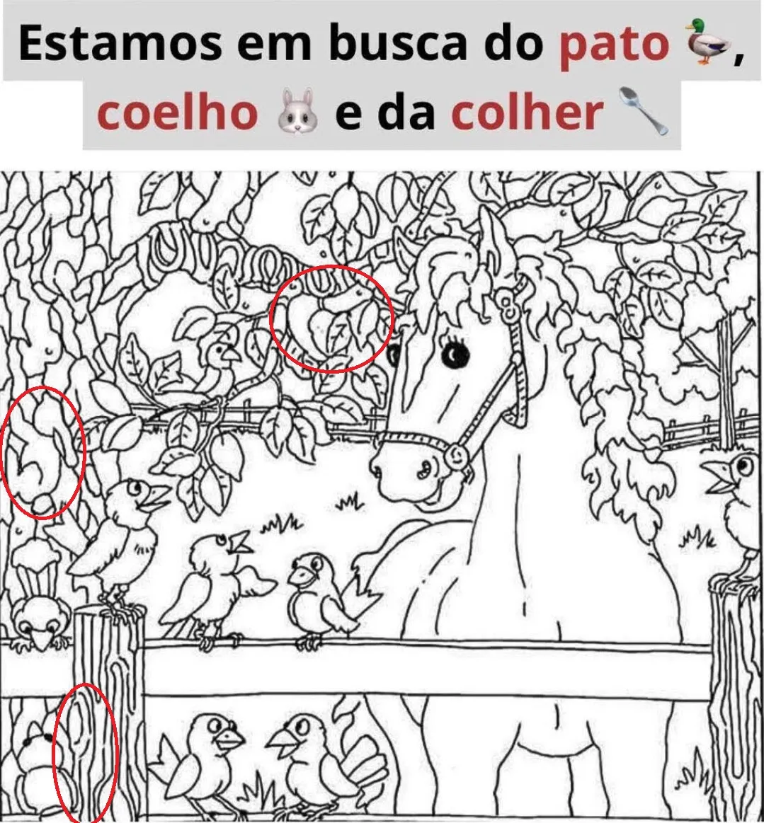 Veja a Resposta Pato Coelho e Colher