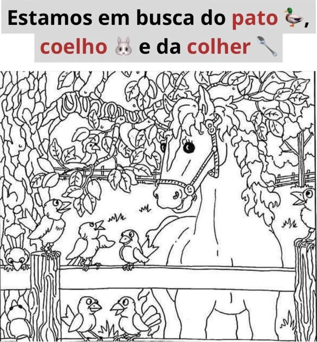 Encontre o Pato, o Coelho e a Colher