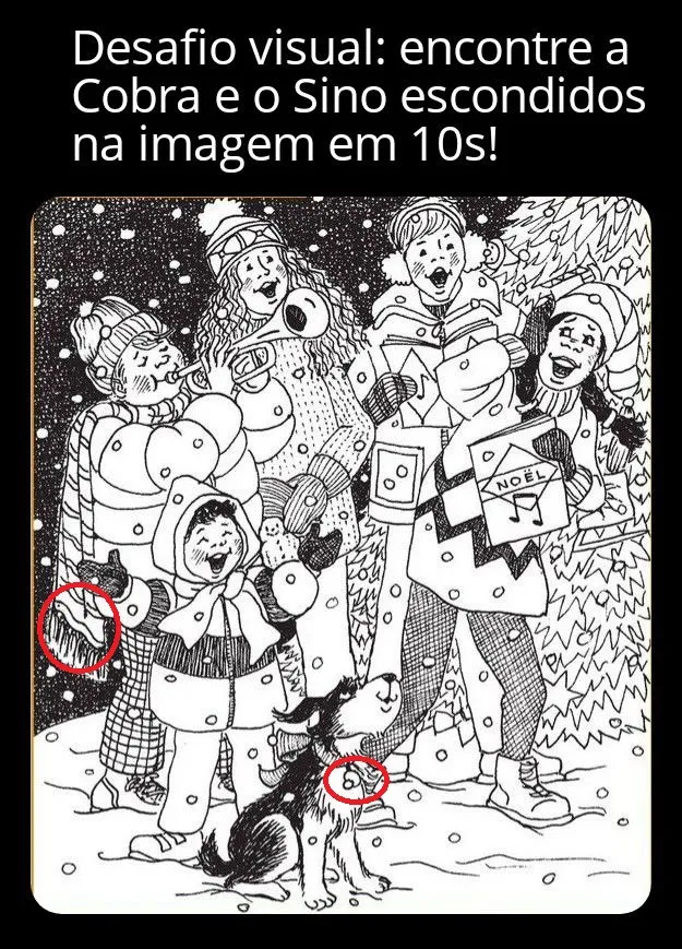 Veja a Resposta