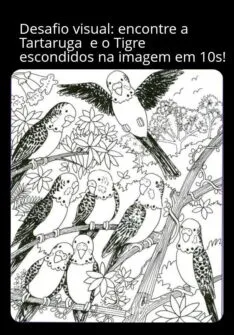 Encontre a Tartaruga e o Tigre na imagem