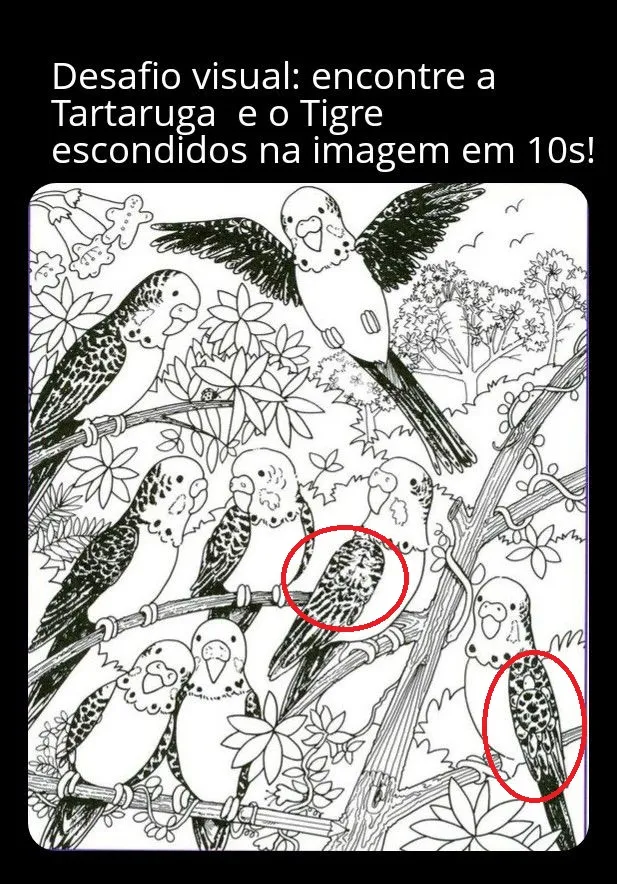 Veja a Resposta