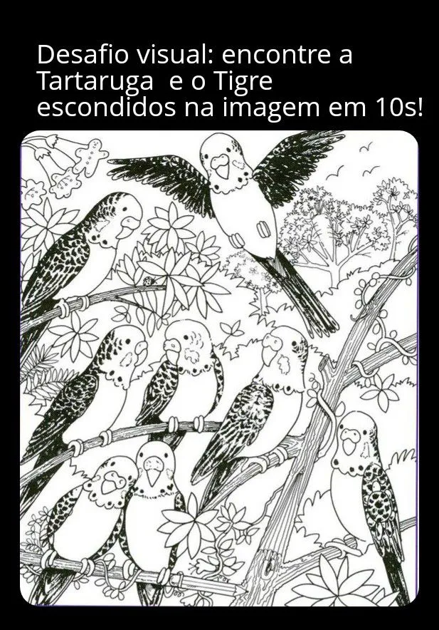 Encontre a Tartaruga e o Tigre na imagem