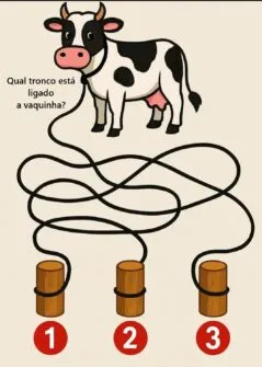 Qual tronco está ligado à vaquinha?