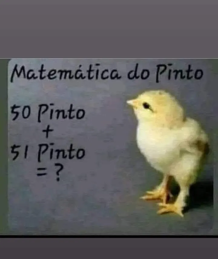 Matemática do Pinto: 50 pinto + 51 pinto