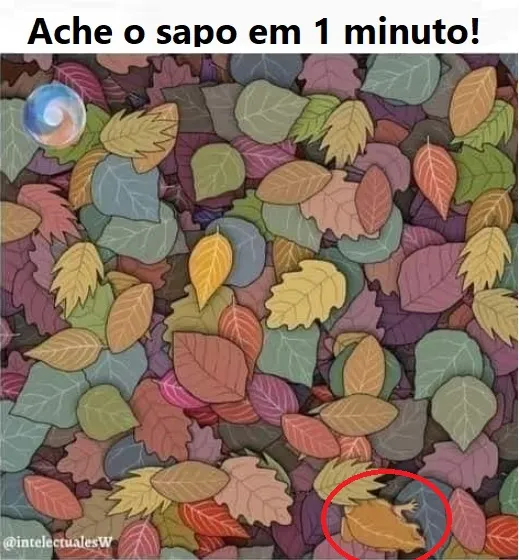 Teste Visual: Ache o sapo em 1 minuto
